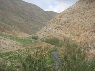 Wadi yitav1.jpg