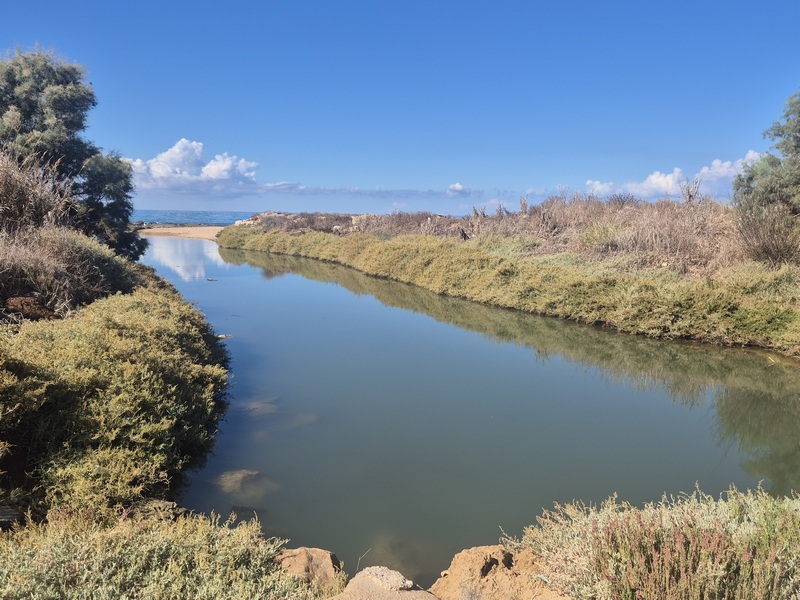 קובץ:Shavey tziyon beach5.jpg