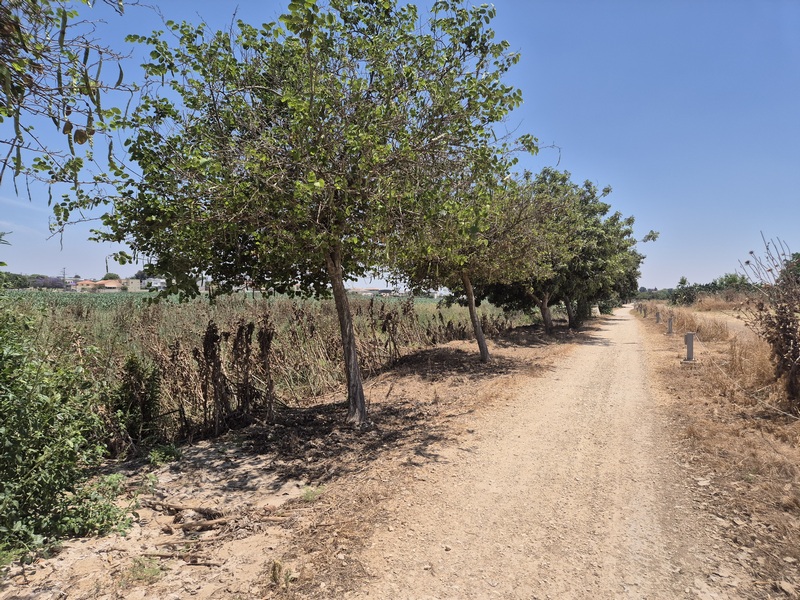 קובץ:טיילת מושקו1.jpg