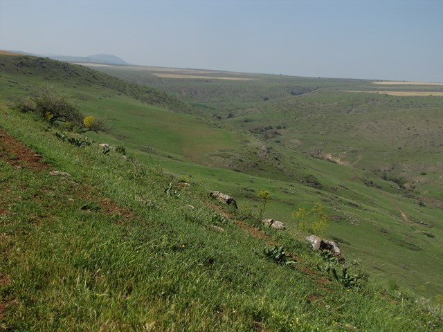 Wadi yishachar1.jpg