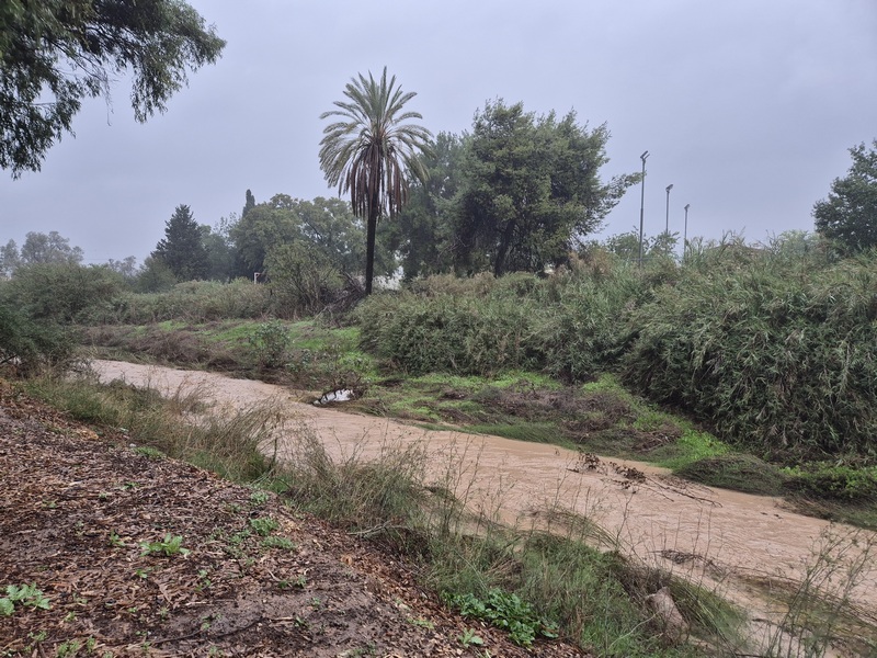 נחל לכיש במרכז שפירא.jpg