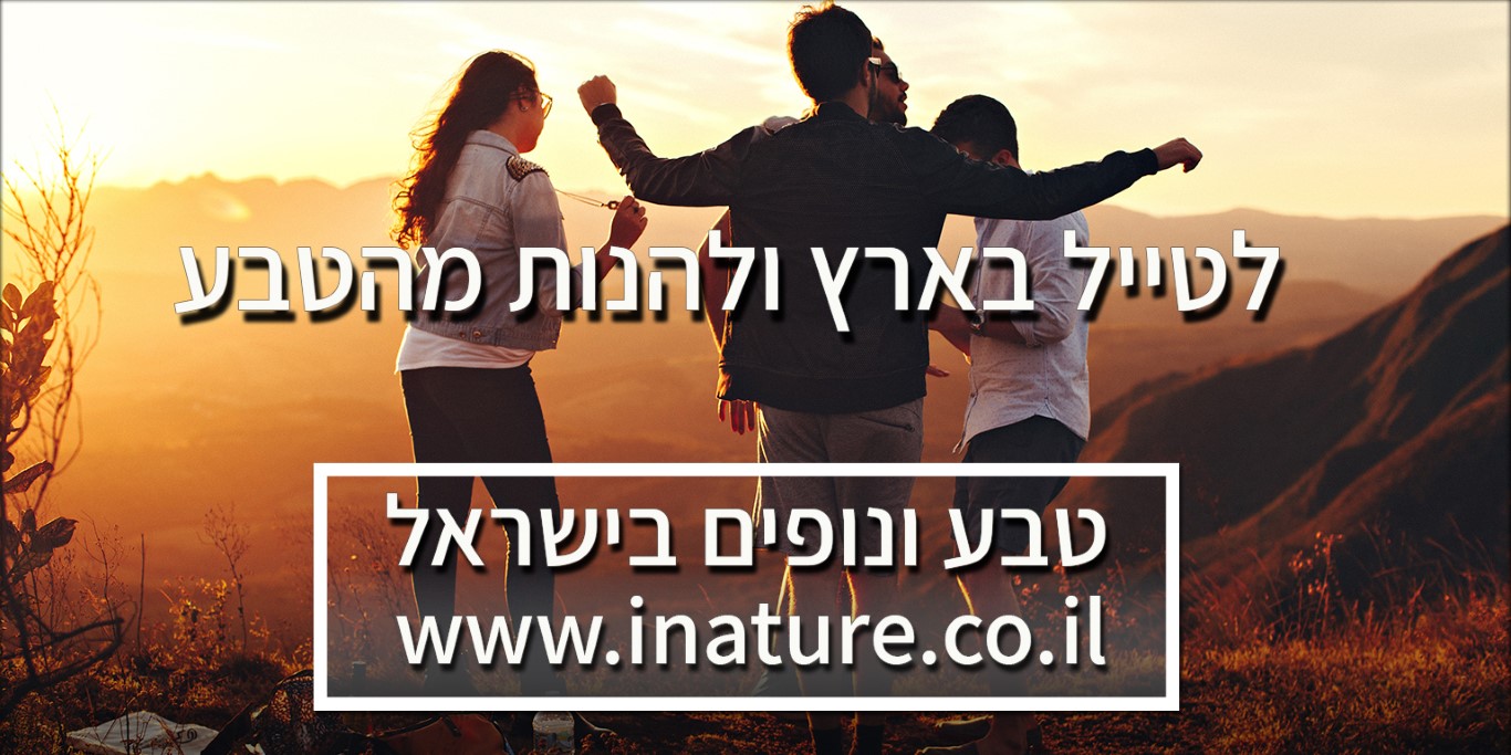 טיולי טבע ונופים בישראל2.jpg