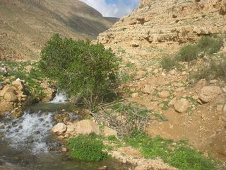 Wadi yitav2.jpg