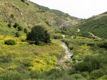 Wadi dishon.jpg