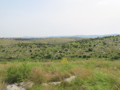 גבעות מודיעין.jpg