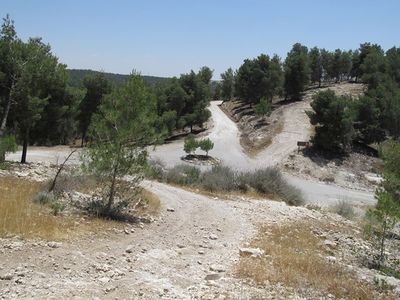 יער להב – iNature