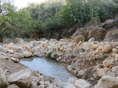 Wadi rosh pina1.jpg