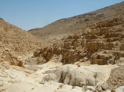 Upper wadi kidod.jpg