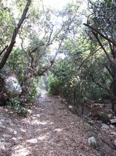 קובץ:Wadi lotem.jpg