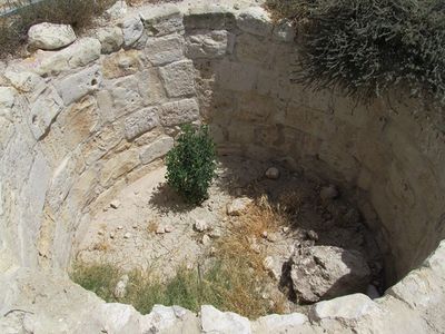 יער להב – iNature