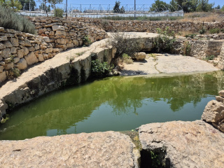 עין מסלע1.jpg