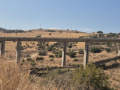 תמונה ממוזערת לגרסה מ־05:42, 29 באוקטובר 2026