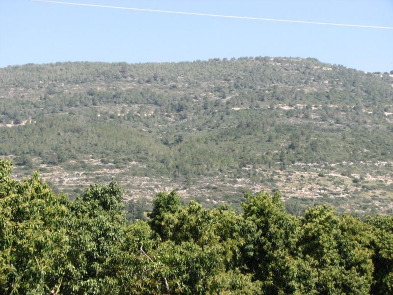 קובץ:Sulam ridge.jpg