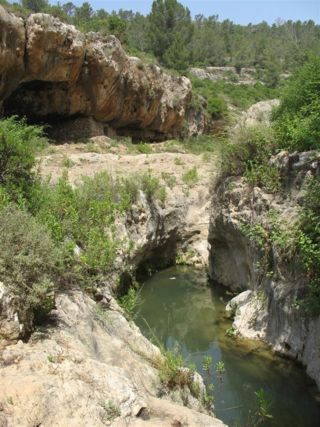 מעיינות זרקא