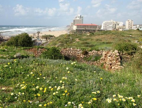 תל מיכל – iNature