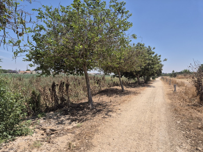 טיילת מושקו1.jpg