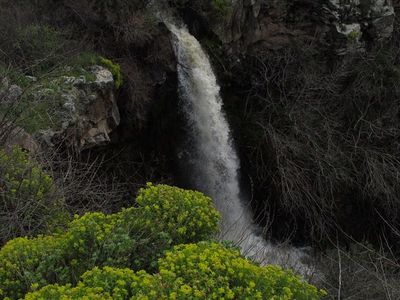 Ayit fall.jpg