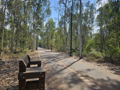 Ntanya forest5.jpg
