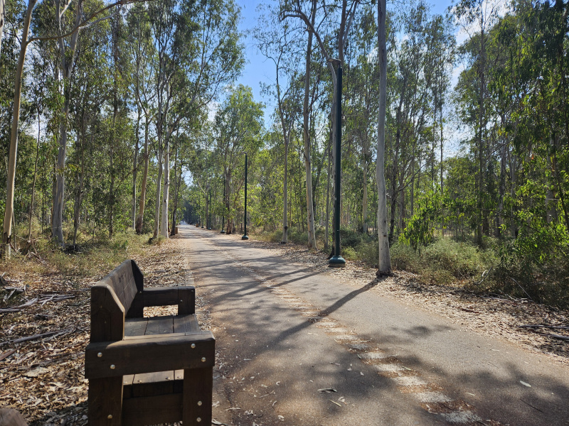 קובץ:Ntanya forest5.jpg
