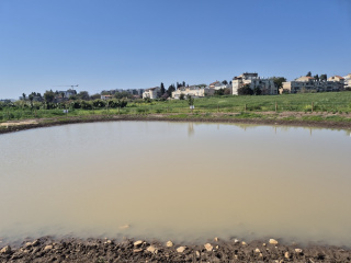 פארק המסדרון האקולוגי1.jpg