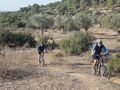 תמונה ממוזערת לגרסה מ־10:53, 20 באפריל 2018