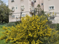 תמונה ממוזערת לגרסה מ־04:15, 8 באוקטובר 2025