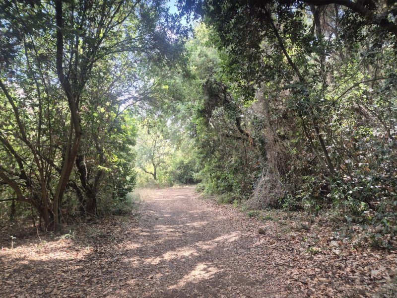 קובץ:Lower kziv.jpg