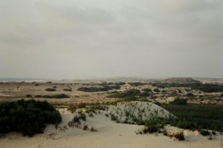 Rishon dunes.jpg
