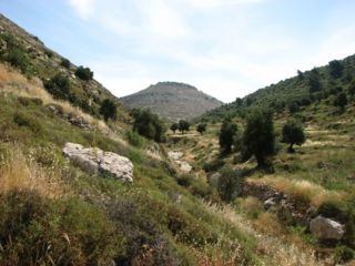 Wadi kfira1.jpg