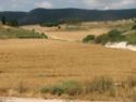 Beit shearim hills.jpg