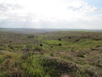 שמורת בתרונות רוחמה – iNature