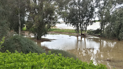 בריכת אבן יהודה1.jpg