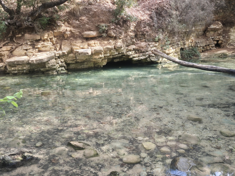 קובץ:Hardalit spring.jpg