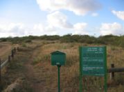 Irus argaman reserve.jpg