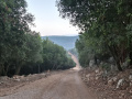 תמונה ממוזערת לגרסה מ־02:53, 17 באוקטובר 2026