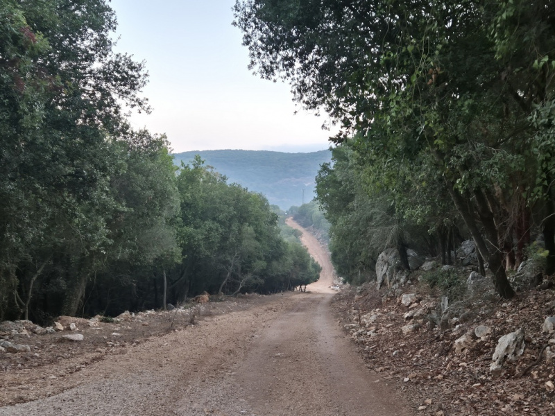 קובץ:Abirim elkosh1.jpg