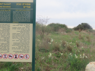 גבעת אודים1.jpg