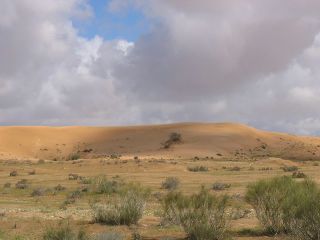 Shunra dunes.jpg