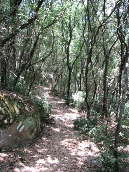 קובץ:Wadi habeer.jpg