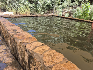 בריכת מעיין צורים.jpg
