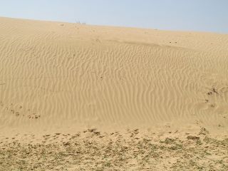 Agur dunes north.jpg