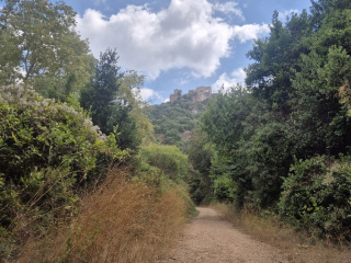 Monfor view.jpg