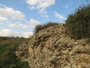 שמורת בתרונות רוחמה – iNature