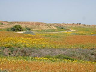 Wadi hatzav1.jpg