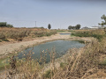 תמונה ממוזערת לגרסה מ־10:34, 1 במאי 2025