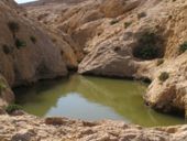 Wadi ashlon2.jpg