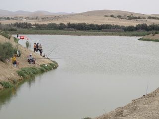 Yeroham lake1.jpg