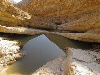 Wadi daruch3.jpg