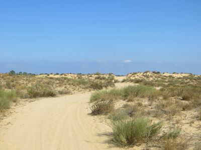 Palmahim dunes1.jpg