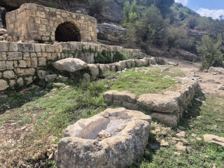 Ein hotam.jpg